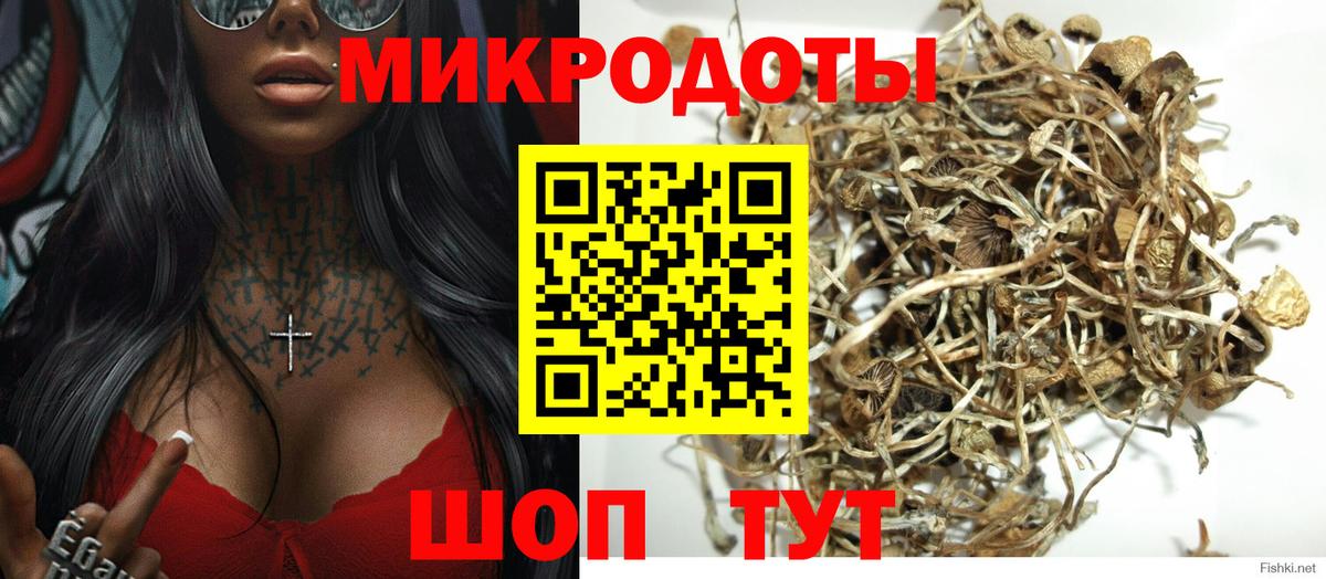 Псилоцибиновые грибы Psilocybe  Вход с VPN  Бахчисарай 